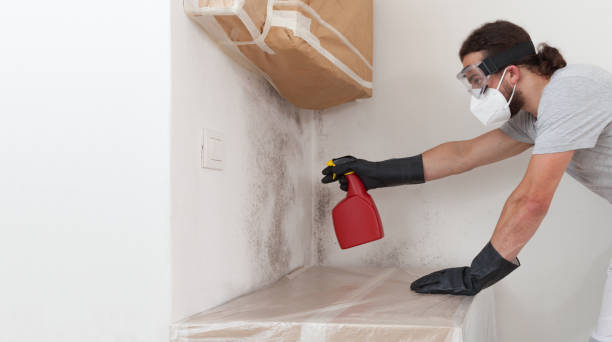 Professional Mold Cleanup technician working in Saint James, NY