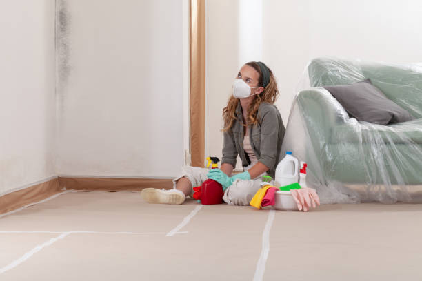 Reliable Mold Cleanup contractor in Saint James, NY by WQB Mold Removal
